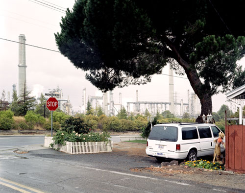 Rose Bushes, Mimi-Van and Oil Refinery